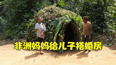 非洲妈妈用树藤和树叶为三个儿子搭建婚房，三兄弟看完心满意足-吾爱原创解说文案