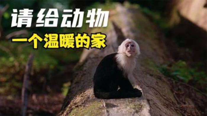 六分钟解说：《极度恐慌》-吾爱原创解说文案-[原创首发]-吾爱文案网