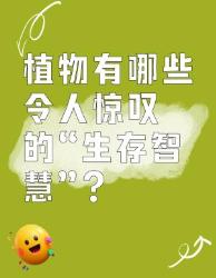 植物的神奇“生存智慧”大揭秘