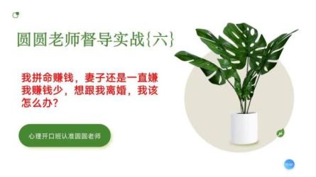 真实心理案例解析与督导视频课-课程-网盘资源分享