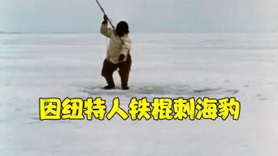 北极因纽特人的神仙手段，一根长枪捅穿海豹，拉出来一称几百斤-原创解说文案