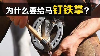 为什么要给马钉铁掌？钉子扎进马蹄里，它们不会疼吗？-原创解说文案