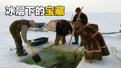 俄罗斯冰川的致富天才，凿穿冰面挖大坑，一次拖出一吨鱼-吾爱原创解说文案