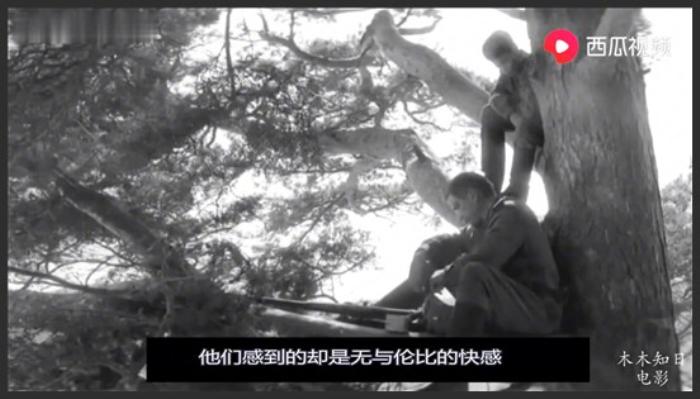 《被涂污的鸟》豆瓣80，二战犹太人残酷影像，尺度大到吓人，比R级别还生猛《被涂污的鸟》-吾爱原创解说文案-[原创首发]-吾爱文案网