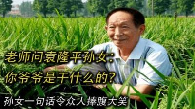 [视]老师问袁隆平孙女：爷爷是干什么的？孙女一句话却令众人捧腹大笑-原创解说文案