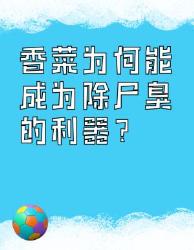 香菜竟然是除尸臭的利器？！
