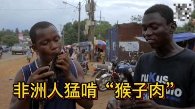 利比亚的神仙腊肉，全用野生猴子烤制，黑哥一人拿一块啃的美滋滋-吾爱原创解说文案