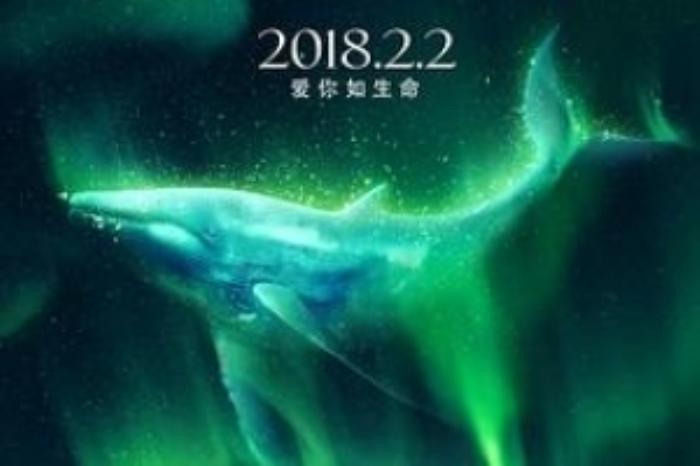 [原创][吾爱原创]爱情电影《南极之恋》解说文案-[原创首发]-吾爱文案网