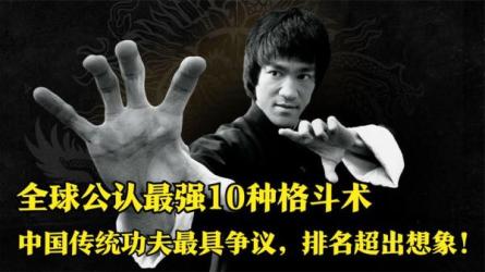 格斗全天下（与中国功夫孰高孰低）-课程-网盘资源分享