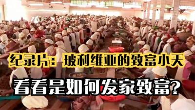 纪录片：玻利维亚的致富天才，钩杏仁进工厂，开上大货车赚口粮-原创解说文案