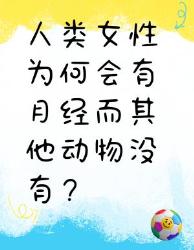 你知道人类女性月经背后的秘密吗