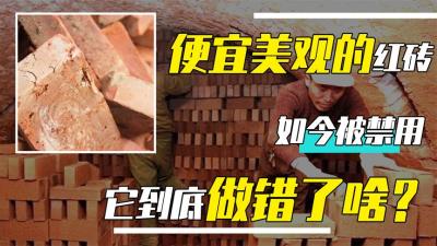 为何价格便宜、经久耐用的红砖被禁用？如今都有哪些可替代建材？-吾爱原创解说文案