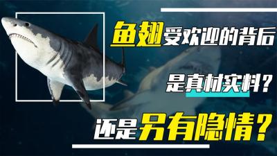 鲨鱼翅被誉为顶级美味，营养到底有多丰富？为啥鲨鱼肉无人问津？-吾爱原创解说文案