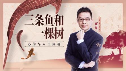 自我修炼走出困境的9套课程-课程-网盘资源分享