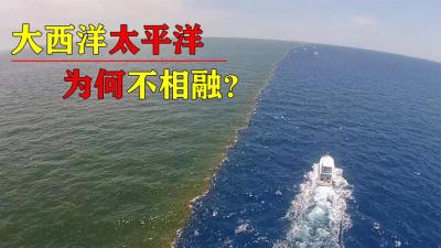 都是海水，太平洋水位比大西洋高出50厘米，它们为什么互不相融？-原创解说文案