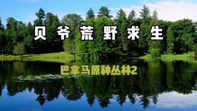 贝爷荒野求生：如果你在丛林中连续饿肚子24小时,你会吃什么？-原创解说文案