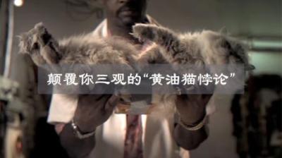 颠覆你的认知，黄油猫悖论！面包+猫=永动机？-吾爱原创解说文案