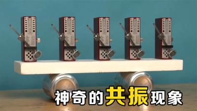 共振的威力有多大？将5个节拍器放在一起，有趣的科学现象发生了-原创解说文案