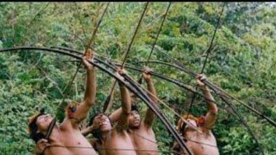 亚马逊森林的神秘原始人，隐身吹箭射猴子，树洞掏出大野猪-吾爱原创解说文案