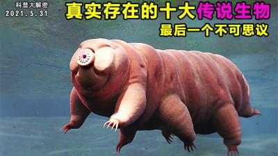 真实存在的十大传说生物，你认识几个呢？-吾爱原创解说文案