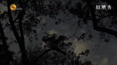 [视]蒋经国探望被幽禁30年的孙立人将军，他提出三个要求，令人泪目-原创解说文案