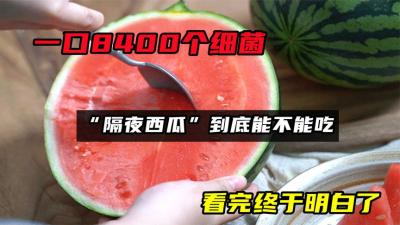 一口8400个细菌，“隔夜西瓜”到底能不能吃？看完终于明白了-原创解说文案