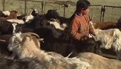 第3集丨草原的天总会出晴的，但小女孩却不会再回来了蒙古草原天气晴身世坎坷懂事女孩-吾爱原创解说文案