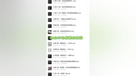 短视频个人IP陪跑营-课程-网盘资源分享