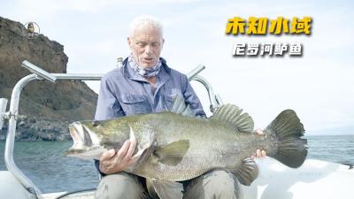 未知水域：杰叔前往非洲抓捕巨型尼罗河鲈鱼，和偷猎者斗智斗勇！-原创解说文案