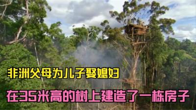 非洲部落搭建的千层树屋，做婚房防虫防水，保护好可以住100年-原创解说文案