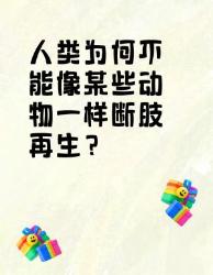 人类为何不能像动物一样断肢再生