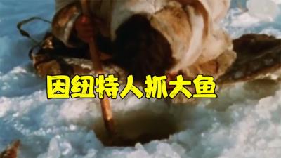 北极的天才因纽特人，挖个冰洞钓大鱼，一天能搞几百斤-原创解说文案