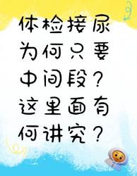 体检接尿只取中间段？原来大有讲究