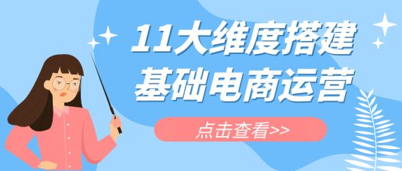 11大维度搭建基础电商运营【】