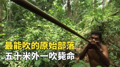 纪录片：马来西亚的天才原始人，自制吹箭筒，射猴插猪一击毙命-原创解说文案