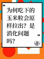吃玉米后玉米粒原样拉出？是消化问题吗