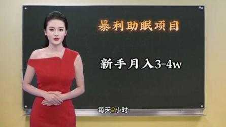 聊天赚钱蓝海项目操作教程-课程-网盘资源分享