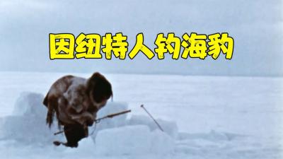 北极冰原的天才因纽特人，砸开腿骨吃骨髓，冰洞底下钓出肥海豹-原创解说文案