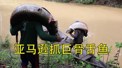 亚马逊河的神仙猎人，钢枪射穿巨骨舌鱼，一条150斤搞了半条船-吾爱原创解说文案