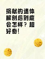 捐献的遗体解剖后会怎样？超全解答