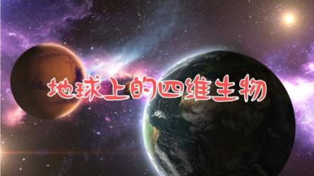 老K空间概念设计与规划课程-课程-网盘资源分享