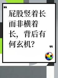 屁股竖着长而非横着长？背后的秘密