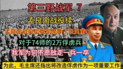 [视]孟良崮战役后，我军为何改变俘虏政策，74师一个俘虏都没放走？-原创解说文案