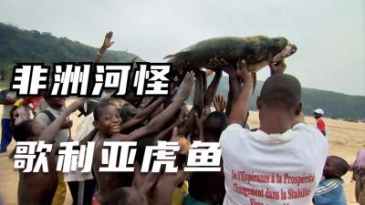 河中巨怪：究竟是一条怎样的鱼？让杰里米请教巫医帮忙寻找！-吾爱原创解说文案