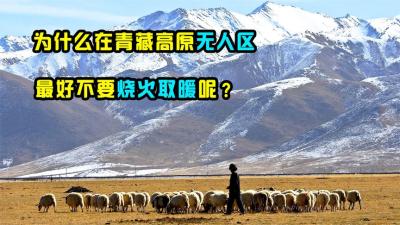 为啥有人说，在青藏高原无人区，晚上最好别烧火取暖呢？-吾爱原创解说文案