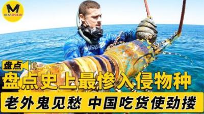 盘点史上最悲惨入侵物种千辛万苦来中国，却差点被吃成“濒危”!-原创解说文案