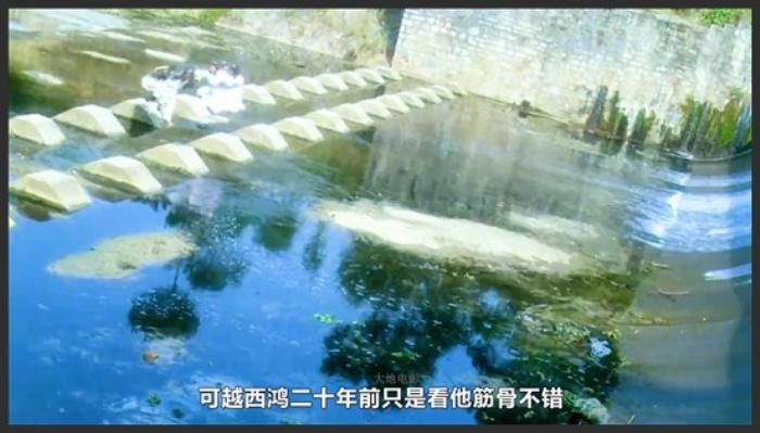 《新冷血十三鹰》《新冷血十三鹰》杨丽菁，古装！《新冷血十三鹰》-吾爱原创解说文案-[原创首发]-吾爱文案网