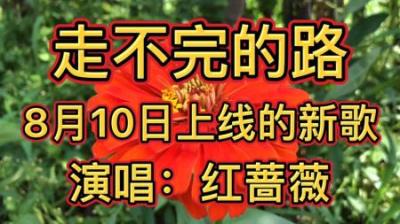 永远走不完的路！-原创解说文案