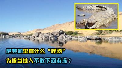 世界第一长河尼罗河，相比长江可怕在哪？为何很少人敢下水游泳-原创解说文案