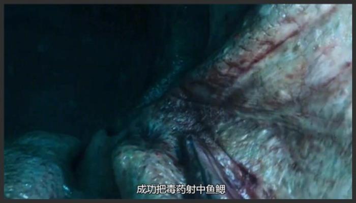 《巨齿鲨》史前巨鲨，惊现浅海大开鲨戒《巨齿鲨》影视解说《史前巨鲨》-吾爱原创解说文案-[原创首发]-吾爱文案网